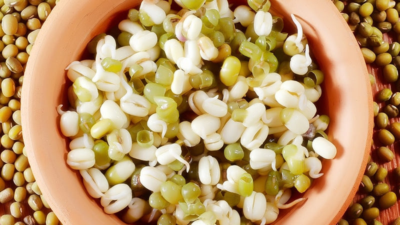 Alfalfa seeds! A healthy sprouts